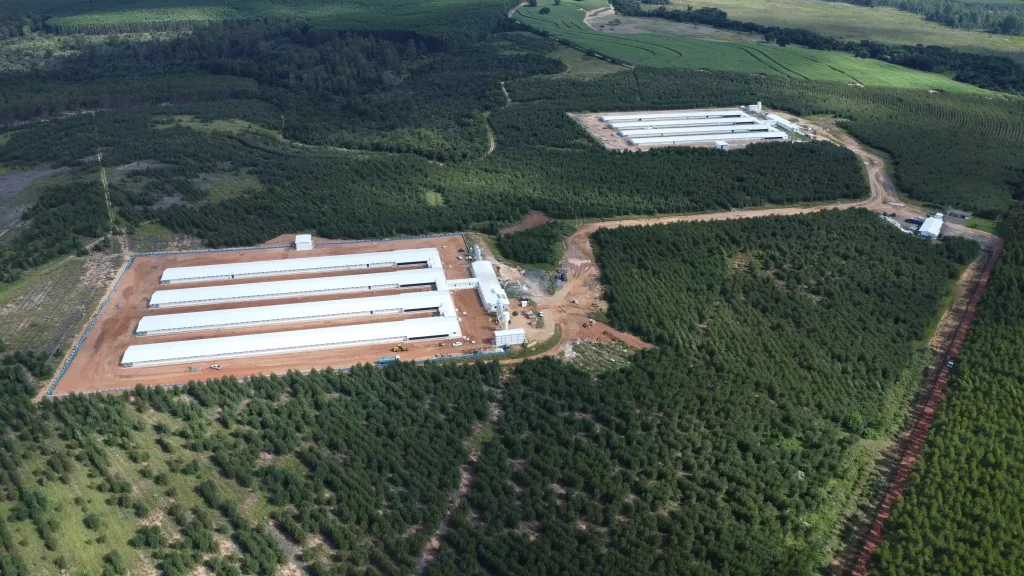 Morada FM — A Companhia Nacional de Abastecimento (Conab) prorrogou até o dia 20 de maio o prazo para envio de propostas da agricultura familiar destinadas à comercialização de sementes e materiais propagativos por meio do Programa de Aquisição de Alimentos (PAA). A medida contempla associações e cooperativas interessadas em participar da modalidade Compra com Doação Simultânea (CDS). Segundo a Conab, as organizações já podem acessar o sistema PAANet para elaboração dos projetos relacionados à chamada pública de 2026. [INSERIR FOTO DE AGRICULTORA FAMILIAR OU BANCO DE SEMENTES AQUI] Como enviar a proposta As propostas devem ser preenchidas diretamente na plataforma PAANet, mas […]
