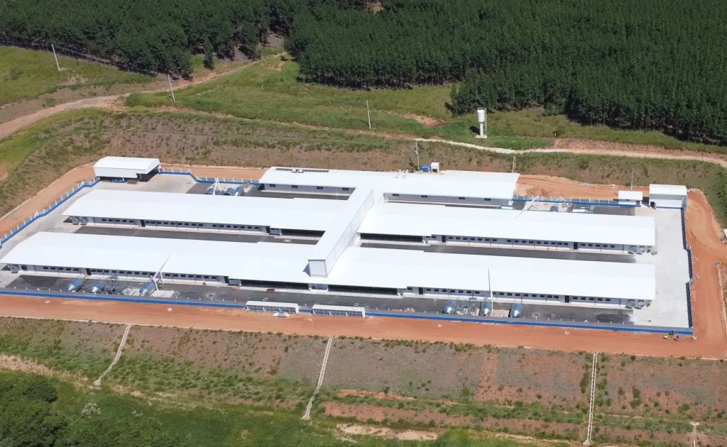 Morada FM — A Companhia Nacional de Abastecimento (Conab) prorrogou até o dia 20 de maio o prazo para envio de propostas da agricultura familiar destinadas à comercialização de sementes e materiais propagativos por meio do Programa de Aquisição de Alimentos (PAA). A medida contempla associações e cooperativas interessadas em participar da modalidade Compra com Doação Simultânea (CDS). Segundo a Conab, as organizações já podem acessar o sistema PAANet para elaboração dos projetos relacionados à chamada pública de 2026. Como enviar a proposta As propostas devem ser preenchidas diretamente na plataforma PAANet, mas não podem ser transmitidas pelo sistema. Após o preenchimento, os […]