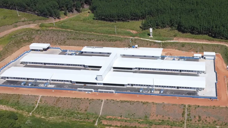 Morada FM — A Companhia Nacional de Abastecimento (Conab) prorrogou até o dia 20 de maio o prazo para envio de propostas da agricultura familiar destinadas à comercialização de sementes e materiais propagativos por meio do Programa de Aquisição de Alimentos (PAA). A medida contempla associações e cooperativas interessadas em participar da modalidade Compra com Doação Simultânea (CDS). Segundo a Conab, as organizações já podem acessar o sistema PAANet para elaboração dos projetos relacionados à chamada pública de 2026. Como enviar a proposta As propostas devem ser preenchidas diretamente na plataforma PAANet, mas não podem ser transmitidas pelo sistema. Após o preenchimento, os [&hellip;]