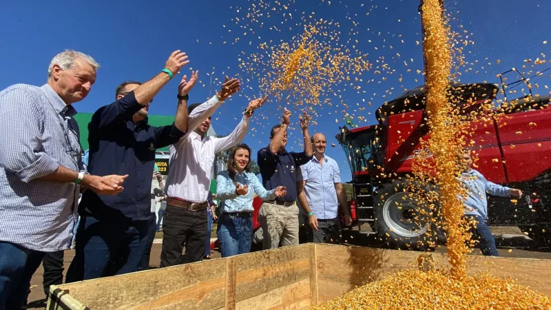 Morada FM — A segunda safra de milho em Goiás deve registrar uma queda de aproximadamente 30% na produção em 2026, segundo estimativa da Aprosoja Goiás (Aprosoja-GO). De acordo com a entidade, fatores como plantio fora da janela ideal, baixos volumes de chuva e estiagem prolongada em importantes regiões produtoras comprometeram o desenvolvimento das lavouras. Na safra anterior, Goiás produziu cerca de 12,7 milhões de toneladas de milho. Para este ciclo, a expectativa é de que a colheita não ultrapasse 9 milhões de toneladas. Além das condições climáticas adversas, os produtores enfrentam aumento dos custos de produção, juros elevados, preços pressionados e maior nível [&hellip;]