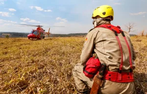 Morada FM —   O Governo de Goiás reforçou as ações de prevenção e combate a incêndios durante o período de estiagem. O trabalho reúne o Corpo de Bombeiros e a Secretaria de Meio Ambiente, com equipes em campo, monitoramento por satélite e alertas de focos de calor. Nas unidades de conservação, 125 profissionais são mobilizados diariamente. O Corpo de Bombeiros mantém equipes de prontidão em oito parques estaduais e 72 unidades operacionais. Com apoio do Instituto Nacional de Pesquisas Espaciais, o Monitor de Queimadas envia informações geolocalizadas para brigadas, Defesa Civil e órgãos ambientais, facilitando o deslocamento das equipes. Até 16 de agosto, […]
