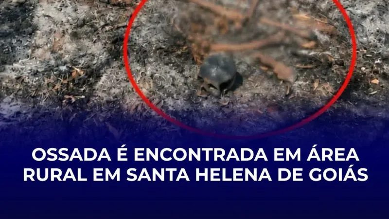 Morada FM — Uma possível ossada humana foi encontrada por volta das 12h16 deste domingo (16/08), em uma propriedade rural de Santa Helena de Goiás. De acordo com as informações repassadas à Polícia Militar que esteve no local posteriormente, moradores da fazenda foram até uma área de plantação de cana para verificar os danos provocados por um incêndio. Durante a vistoria, eles encontraram alguns ossos aparentemente semelhantes a partes de um corpo humano jogados no solo. Diante da situação, a autoridade competente foi comunicada e acionou a Polícia Técnico-Científica e o Instituto Médico-Legal (IML). O material foi recolhido e encaminhado para exames, que deverão [&hellip;]